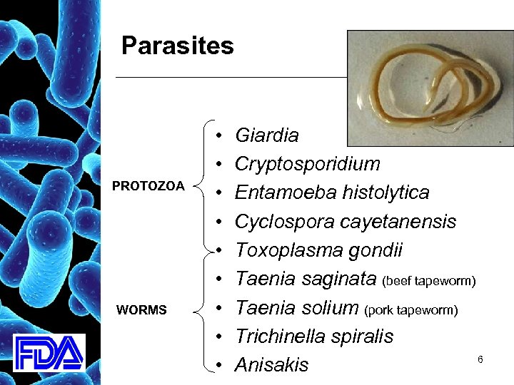 Parasites PROTOZOA WORMS • • • Giardia Cryptosporidium Entamoeba histolytica Cyclospora cayetanensis Toxoplasma gondii