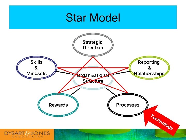 Star Model Strategic Direction Skills & Mindsets Organizational Structure Rewards Reporting & Relationships Processes