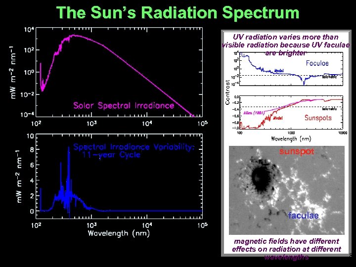 The Sun’s Radiation Spectrum UV radiation varies more than visible radiation because UV faculae