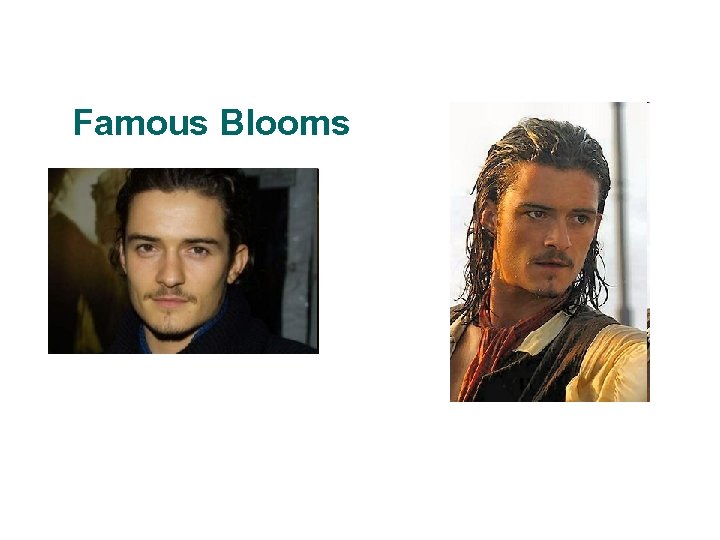 Famous Blooms 