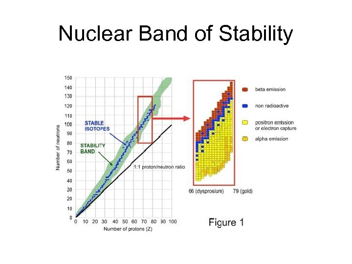 Nuclear Band of Stability 