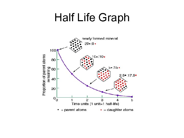 Half Life Graph 