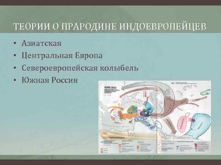 ТЕОРИИ О ПРАРОДИНЕ ИНДОЕВРОПЕЙЦЕВ • • Азиатская Центральная Европа Североевропейская колыбель Южная Россия 