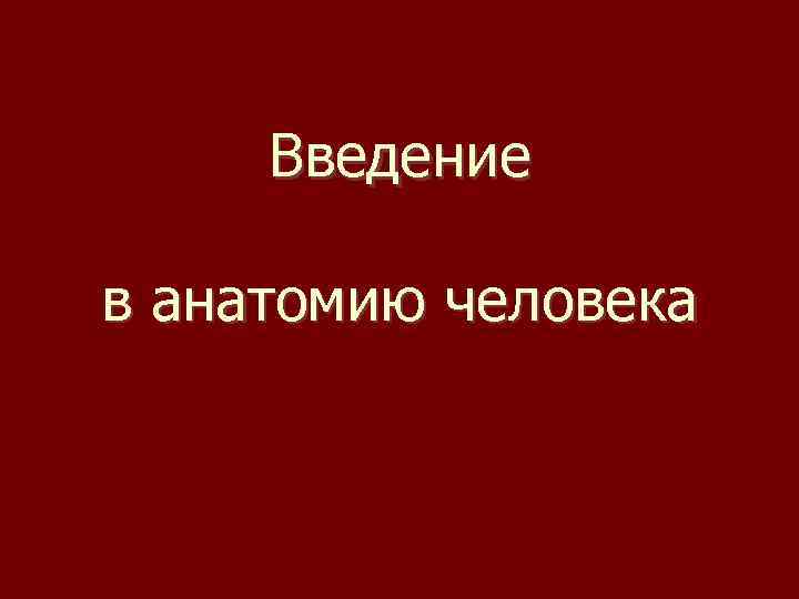 Введение в анатомию человека 