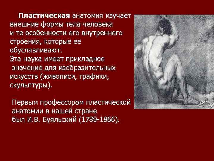 Пластическая анатомия изучает внешние формы тела человека и те особенности его внутреннего строения, которые