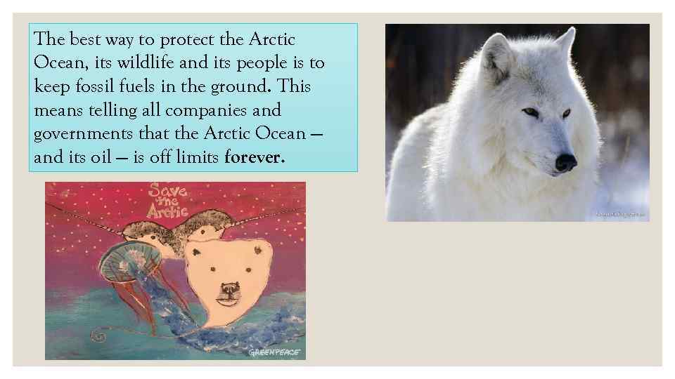 The best way to protect the Arctic Ocean, its wildlife and its people is