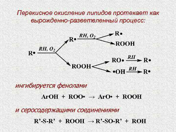 Процесс перекисного окисления