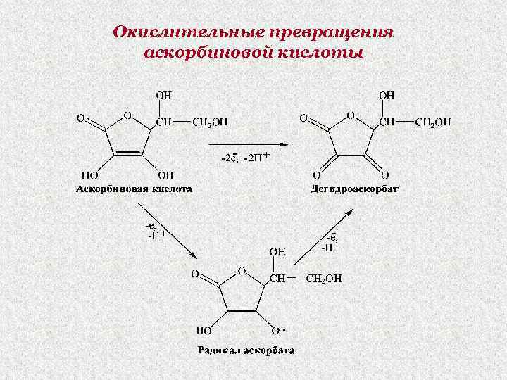 Окислительные превращения аскорбиновой кислоты 