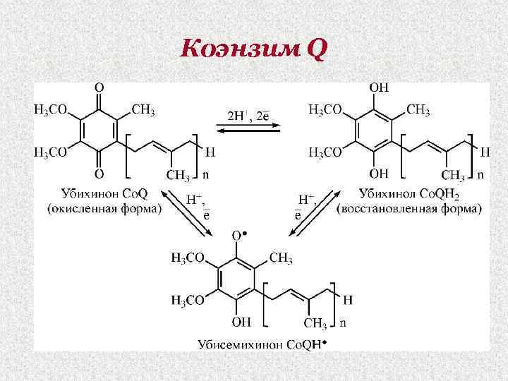 Коэнзим Q 