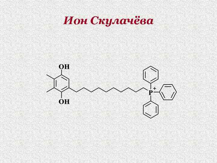 Ион Скулачёва 