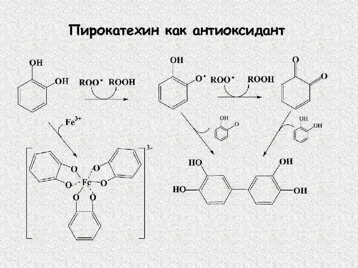 Пирокатехин как антиоксидант 