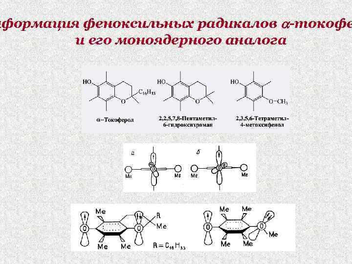 нформация феноксильных радикалов -токофе и его моноядерного аналога 