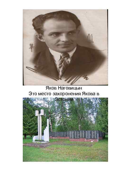 Яков Наговицын Это место захоронения Якова в Эстонии 