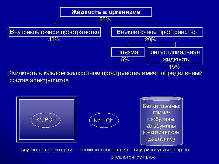 Жидкость в организме 60% Внутриклеточное пространство Внеклеточное пространство 40% 20% плазма 5% интестициальная жидкость