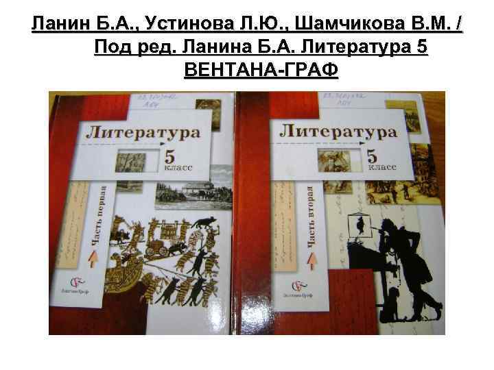 Ланин Б. А. , Устинова Л. Ю. , Шамчикова В. М. / Под ред.