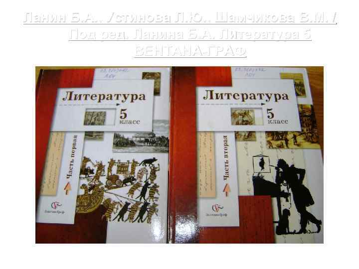 Ланин Б. А. , Устинова Л. Ю. , Шамчикова В. М. / Под ред.