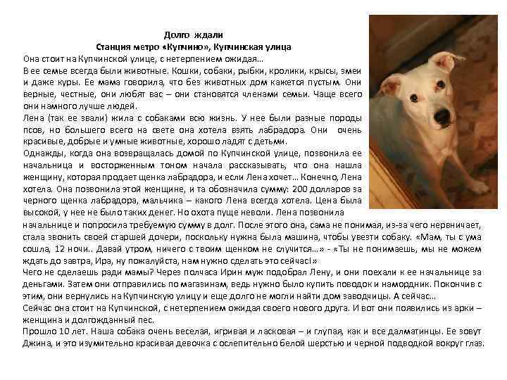 Долго ждали Станция метро «Купчино» , Купчинская улица Она стоит на Купчинской улице, с