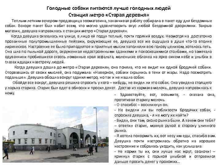 Голодные собаки питаются лучше голодных людей Станция метро «Старая деревня» Теплым летним вечером продавщица
