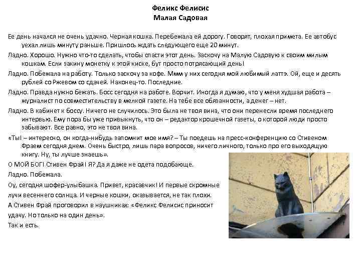 Феликс Фелисис Малая Садовая Ее день начался не очень удачно. Черная кошка. Перебежала ей