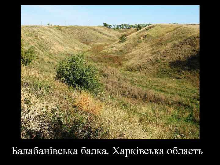 Балабанівська балка. Харківська область 