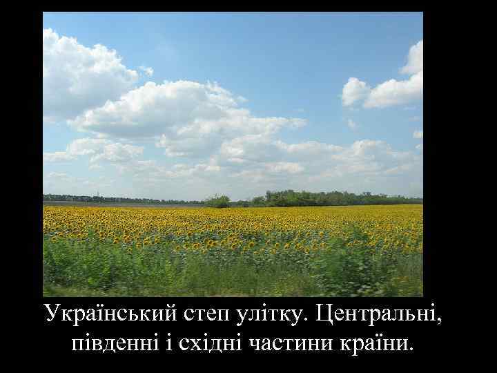 Український степ улітку. Центральні, південні і східні частини країни. 