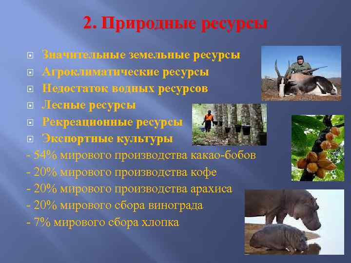 2. Природные ресурсы Значительные земельные ресурсы Агроклиматические ресурсы Недостаток водных ресурсов Лесные ресурсы Рекреационные