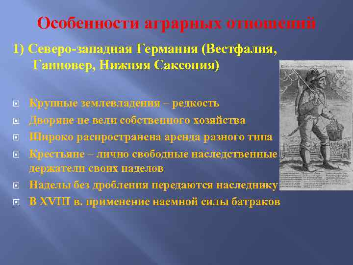 Особенности аграрных отношений 1) Северо-западная Германия (Вестфалия, Ганновер, Нижняя Саксония) Крупные землевладения – редкость