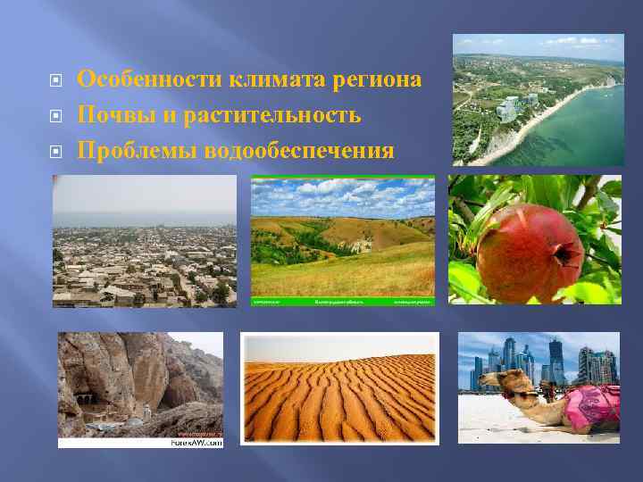  Особенности климата региона Почвы и растительность Проблемы водообеспечения 