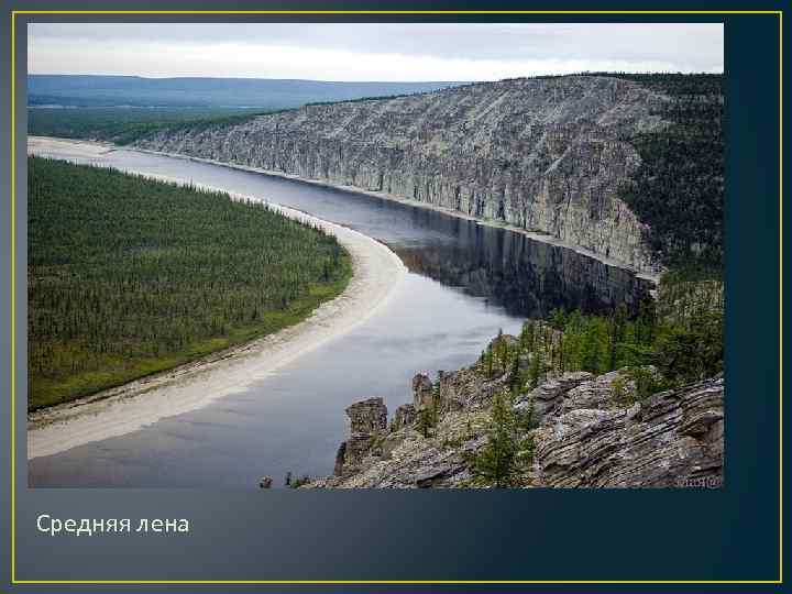 Средняя лена 
