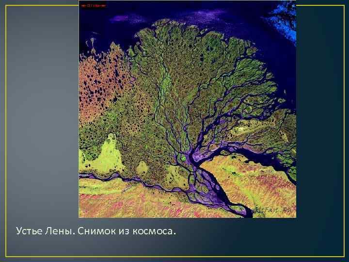 Устье Лены. Снимок из космоса. 