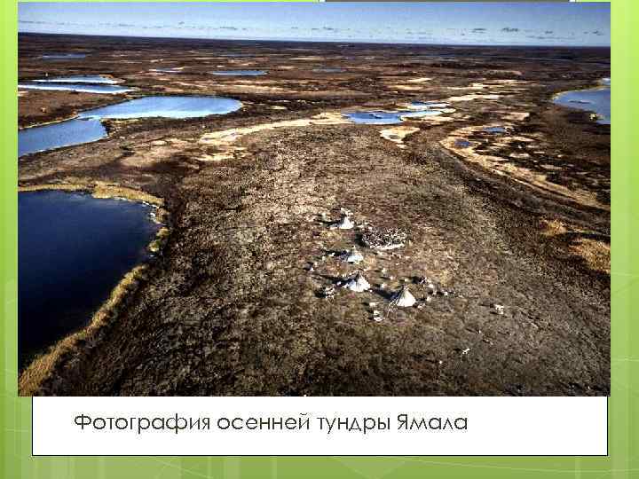 Фотография осенней тундры Ямала 