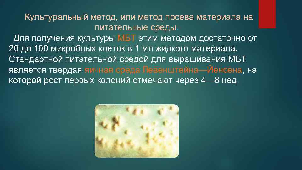 Культуральный метод, или метод посева материала на питательные среды. Для получения культуры МБТ этим