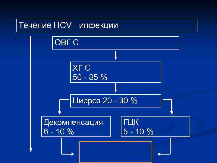 Течение HCV инфекции ОВГ C 10 30 лет ХГ С 50 85 % Цирроз