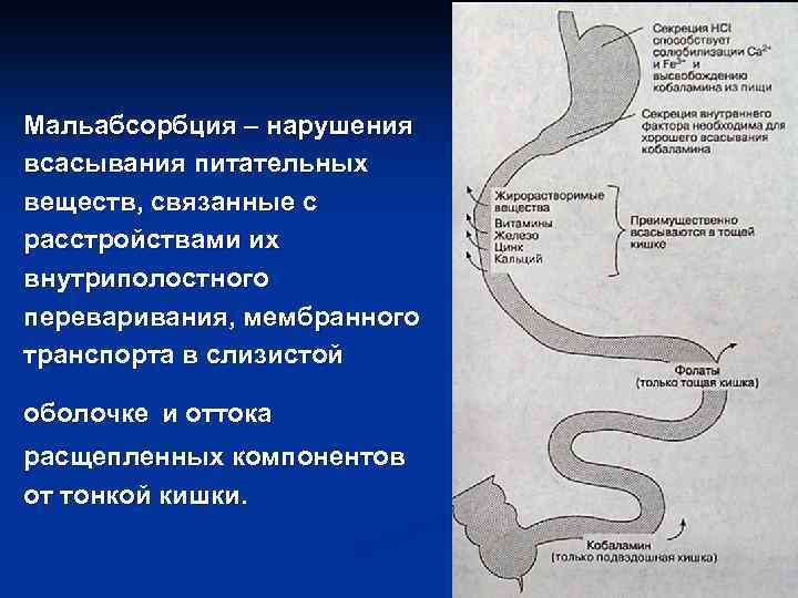 Мальабсорбция – нарушения всасывания питательных веществ, связанные с расстройствами их внутриполостного переваривания, мембранного транспорта