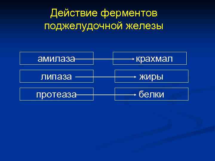 Действие ферментов поджелудочной железы амилаза крахмал липаза жиры протеаза белки 