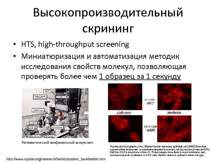 Высокопроизводительный скрининг • HTS, high-throughput screening • Миниатюризация и автоматизация методик исследования свойств молекул,
