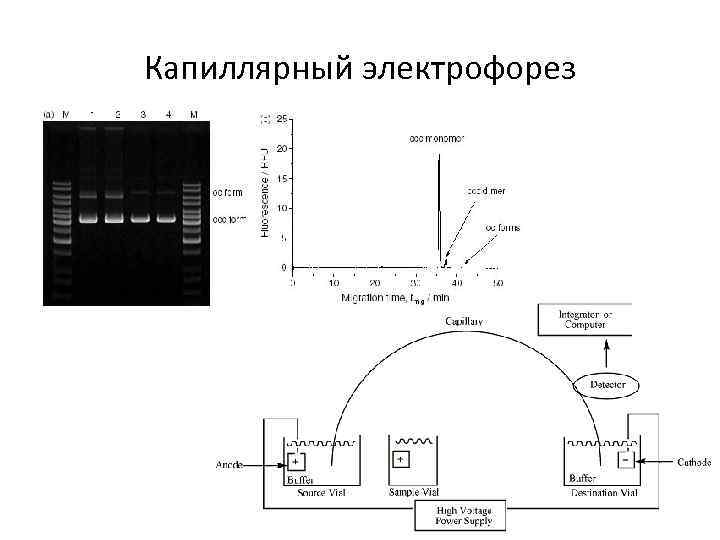 Метод капиллярного электрофореза основные принципы и схемы реализации