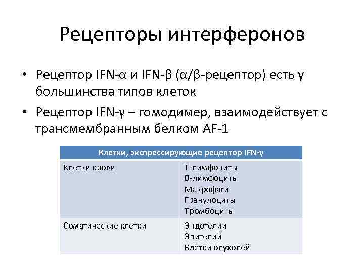 Рецепторы интерферонов • Рецептор IFN-α и IFN-β (α/β-рецептор) есть у большинства типов клеток •