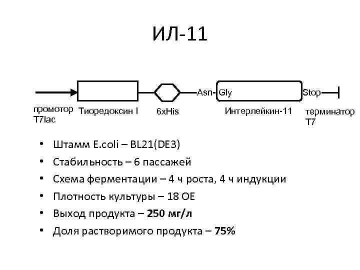 ИЛ-11 Asn- Gly промотор Тиоредоксин I T 7 lac • • • 6 x.
