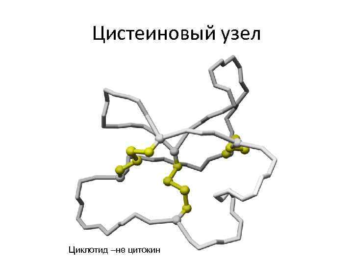 Цистеиновый узел Циклотид –не цитокин 