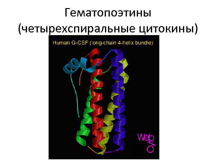 Цитокины интерферон