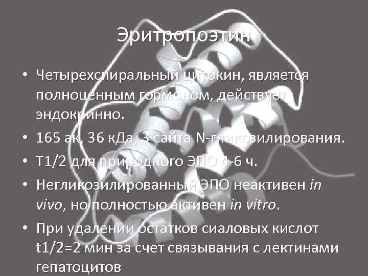 Эритропоэтин • Четырехспиральный цитокин, является полноценным гормоном, действует эндокринно. • 165 ак, 36 к.