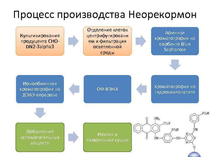 Процесс производства Неорекормон Культивирование продуцента CHODN 2 -3 alpha 3 Отделение клеток центрифугировани ем