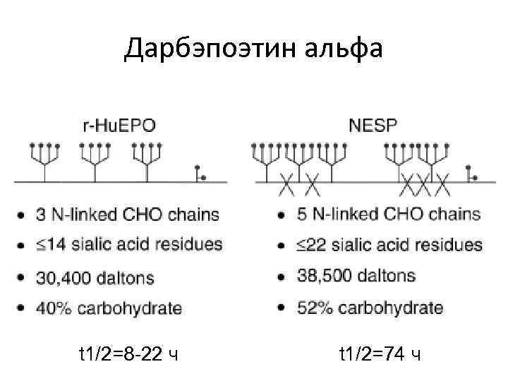 Дарбэпоэтин альфа t 1/2=8 -22 ч t 1/2=74 ч 