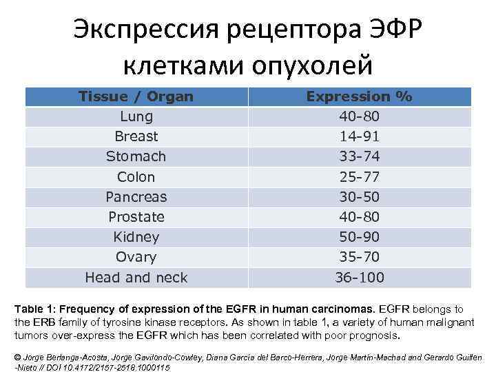 Экспрессия рецептора ЭФР клетками опухолей Tissue / Organ Lung Breast Stomach Colon Pancreas Prostate