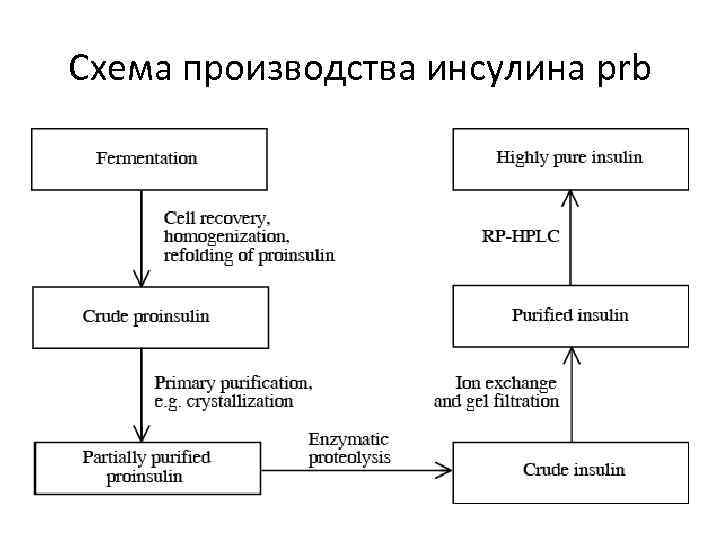 Схема производства инсулина