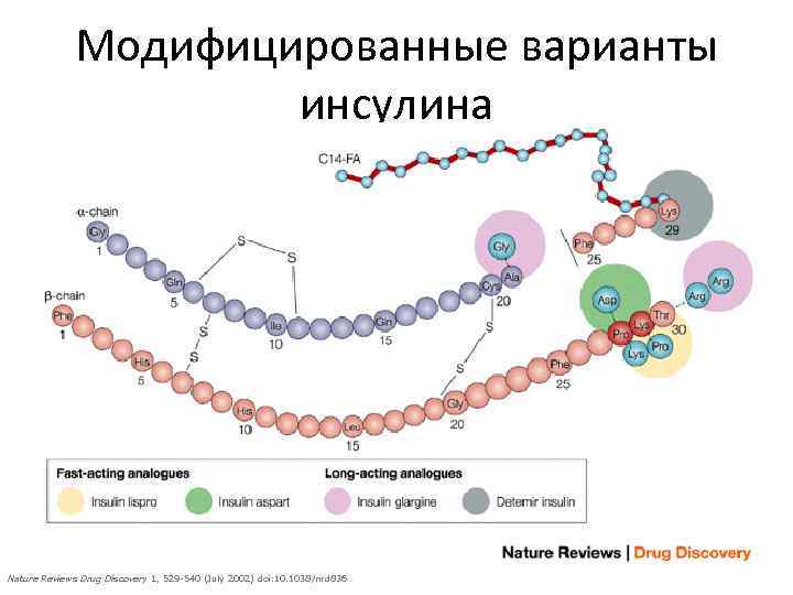 Модифицированные варианты инсулина Nature Reviews Drug Discovery 1, 529 -540 (July 2002) doi: 10.