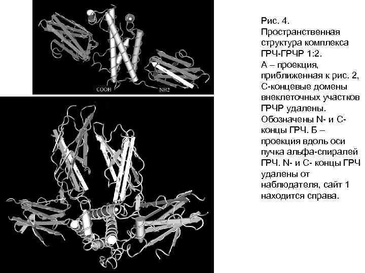 Рис. 4. Пространственная структура комплекса ГРЧ-ГРЧР 1: 2. А – проекция, приближенная к рис.