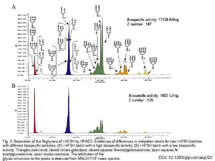 Fig. 3. Separation of the N-glycans of r-h. FSH by HPAEC. Evidences of differences