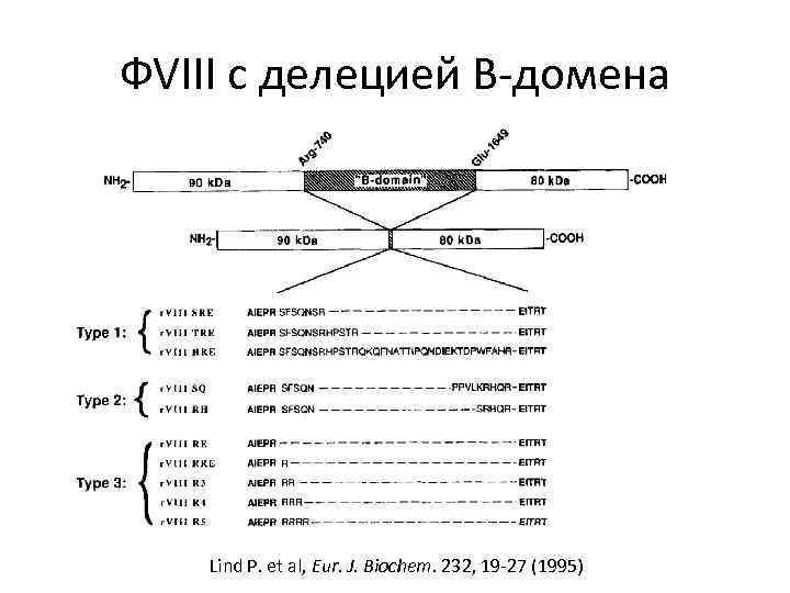 ФVIII с делецией B-домена Lind P. et al, Eur. J. Biochem. 232, 19 -27